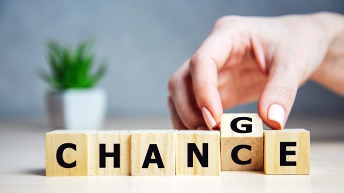 Transformational Change Through Leadership Development - hr bartender